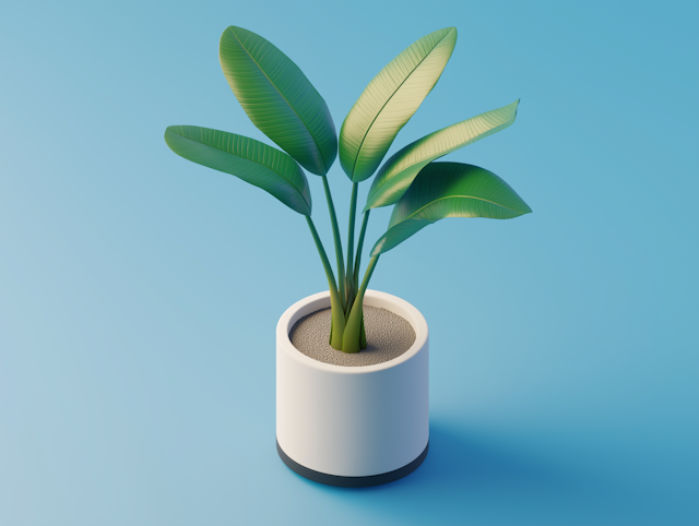 Minimalist Potted Plant